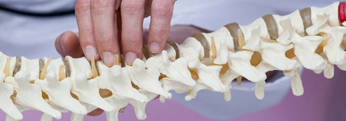 Chiropractic Snellville GA Back Pain Spine Model Education Chiropractic Snellville GA Back Pain Spine Model Education